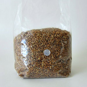 Gesteriliseerde Rogge | Sterilized Rye Grains - 2Liter